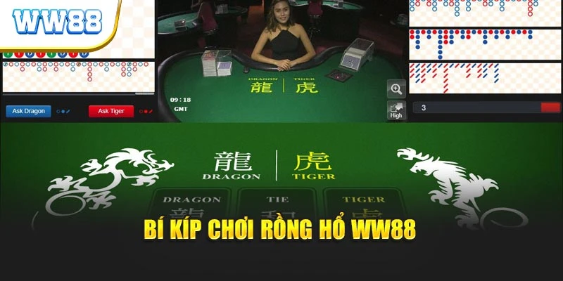 Bí kíp chơi Rồng hổ WW88