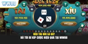 Kèo Tài Xỉu WW88 Là Gì? Bỏ Túi Bí Kíp Cược Hiệu Quả 